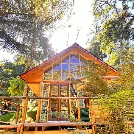 Chale Samambaia Villa Campos do Jordão Eksteriør bilde