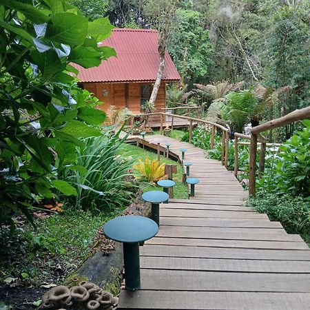 Chale Samambaia Villa Campos do Jordão Eksteriør bilde