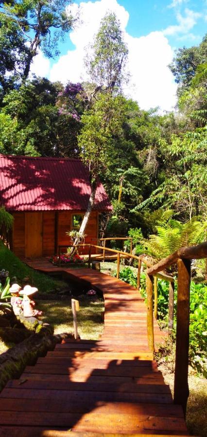 Chale Samambaia Villa Campos do Jordão Eksteriør bilde